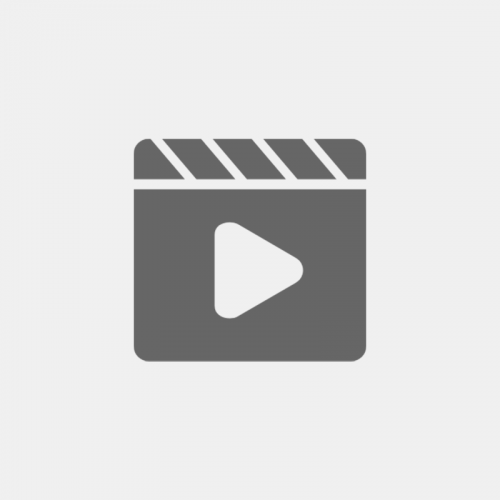 Laba -laba menempatkan booming